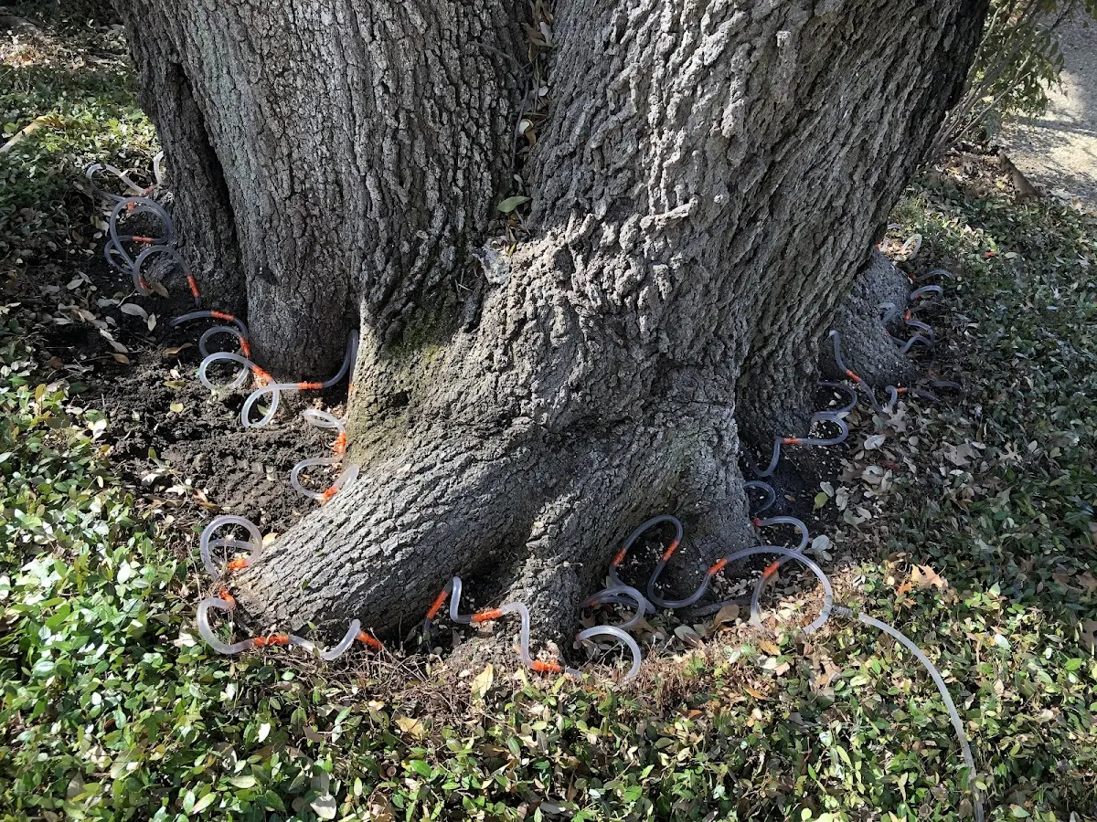 Detailed Shrub and Hedge Trimming job site in De Witt